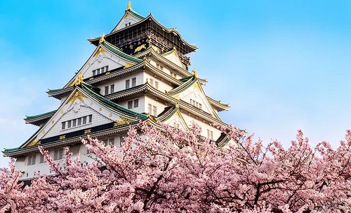 중국/일본 패키지여행