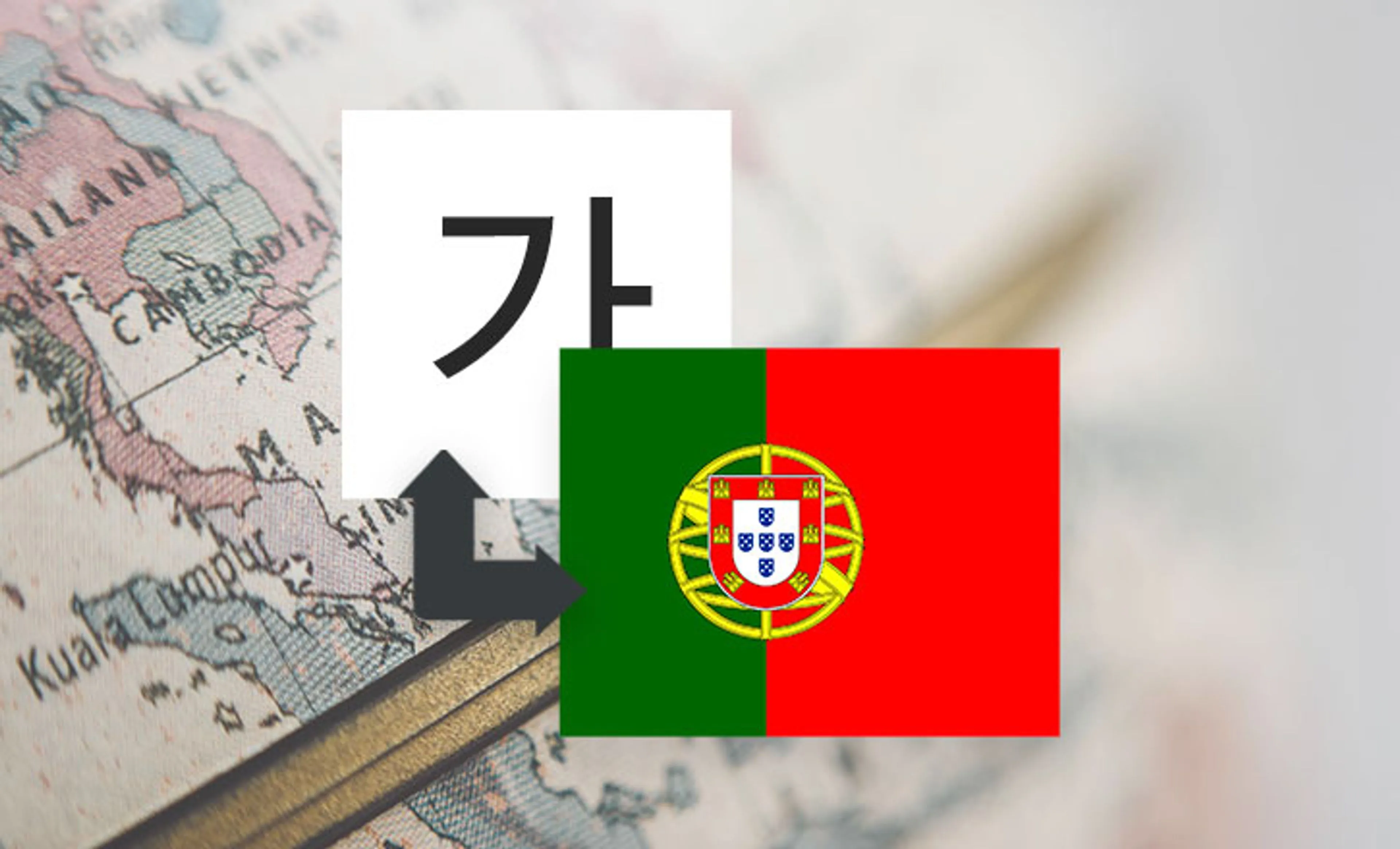포르투갈어 번역